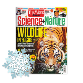 Science + Nature - Christmas offer